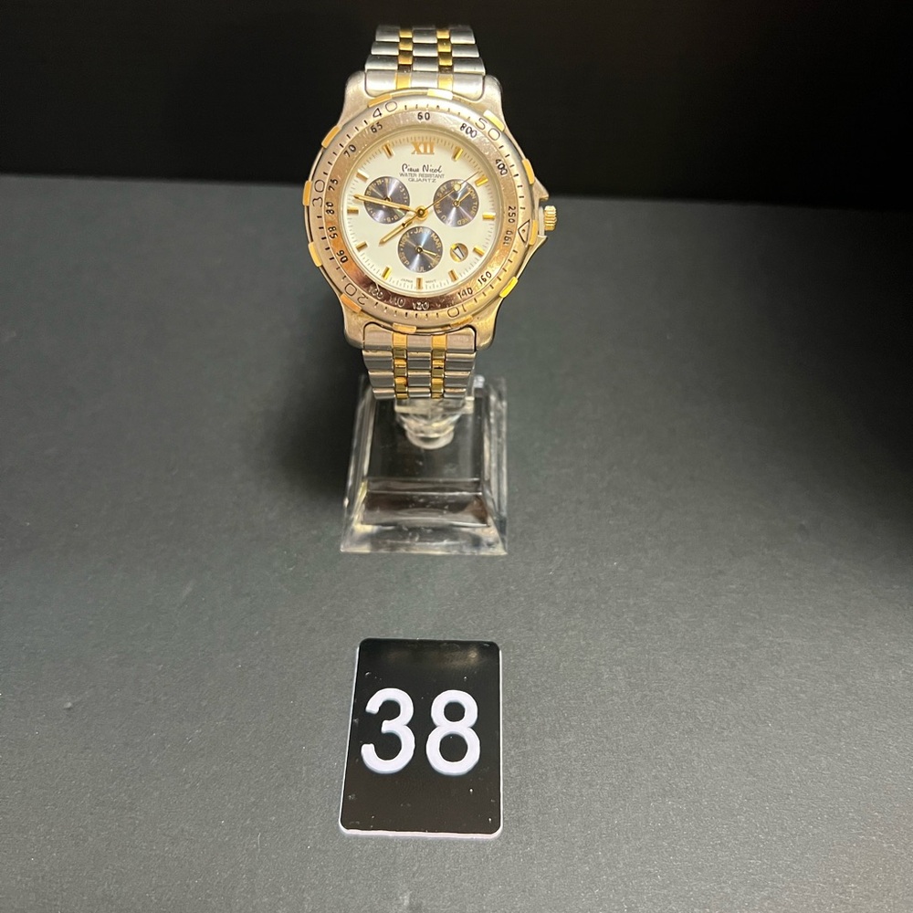 Mens Pierre Nicol Watch
